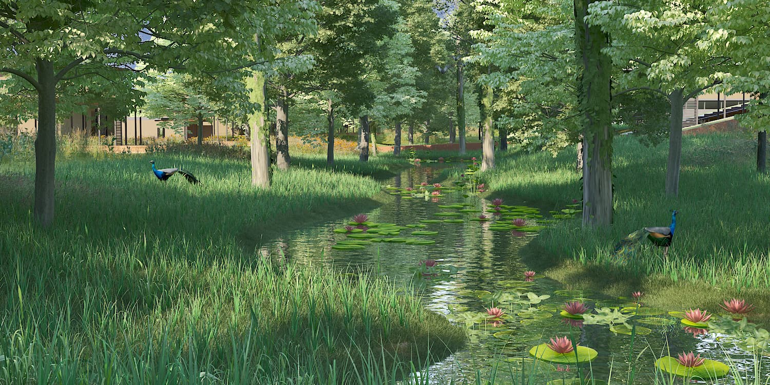 Clubs: Club Backwaters