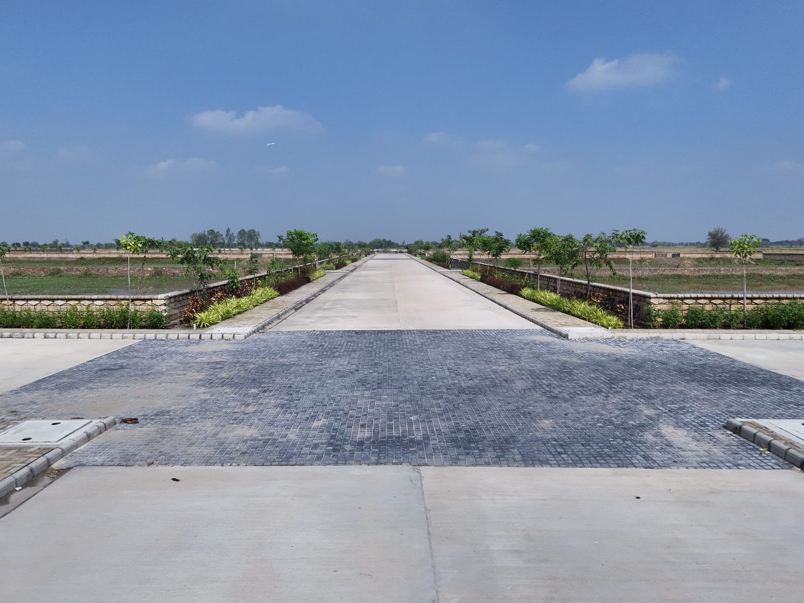 The paved internal road lined with young trees and demarcated plots at Marrakesh, Sanand