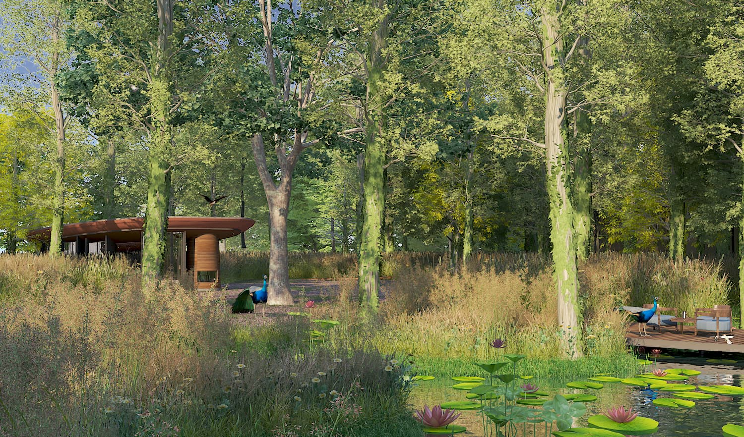 Wellness & Recreation: Bird Habitat