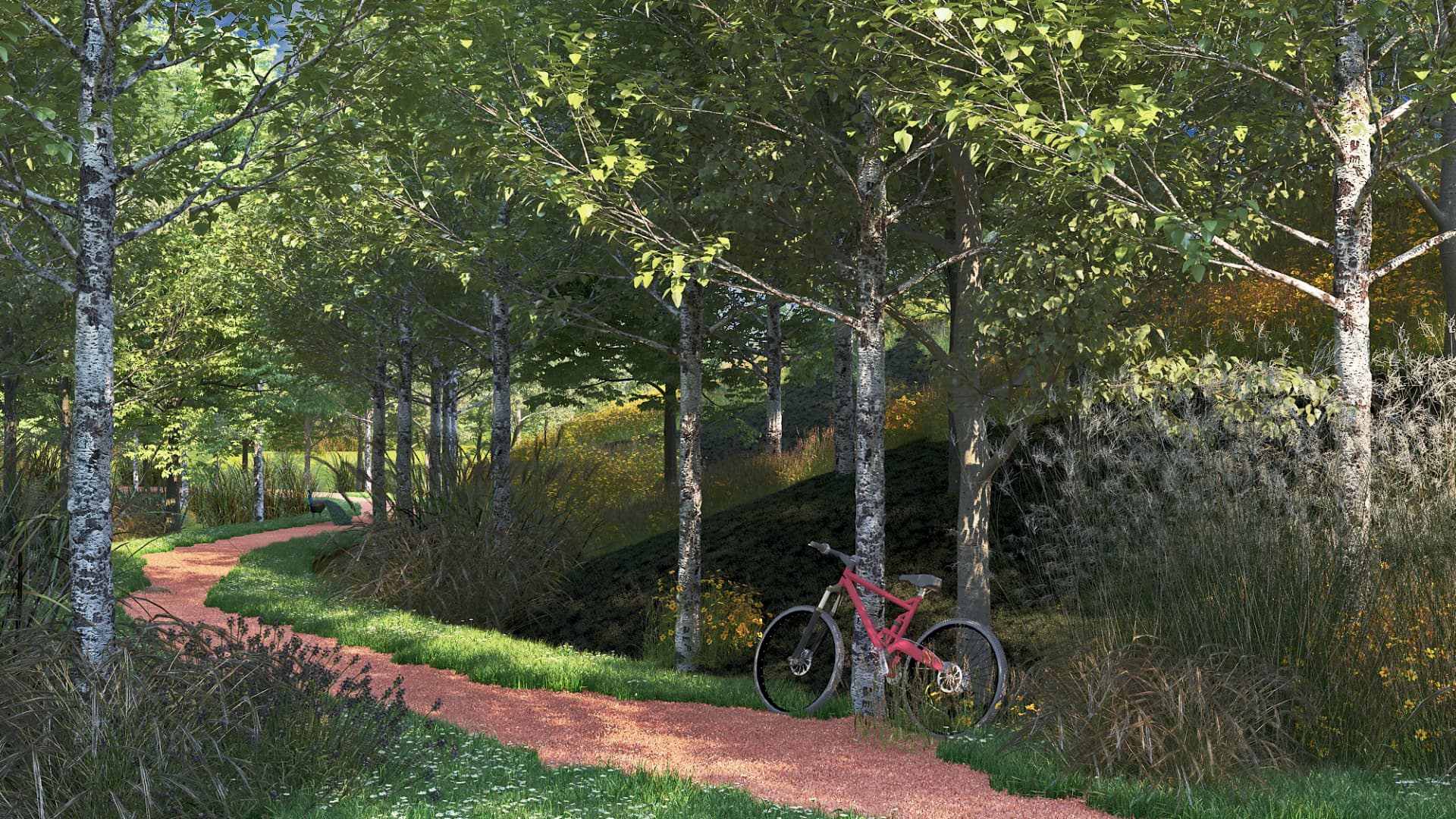 Outdoor Adventures: Cycling