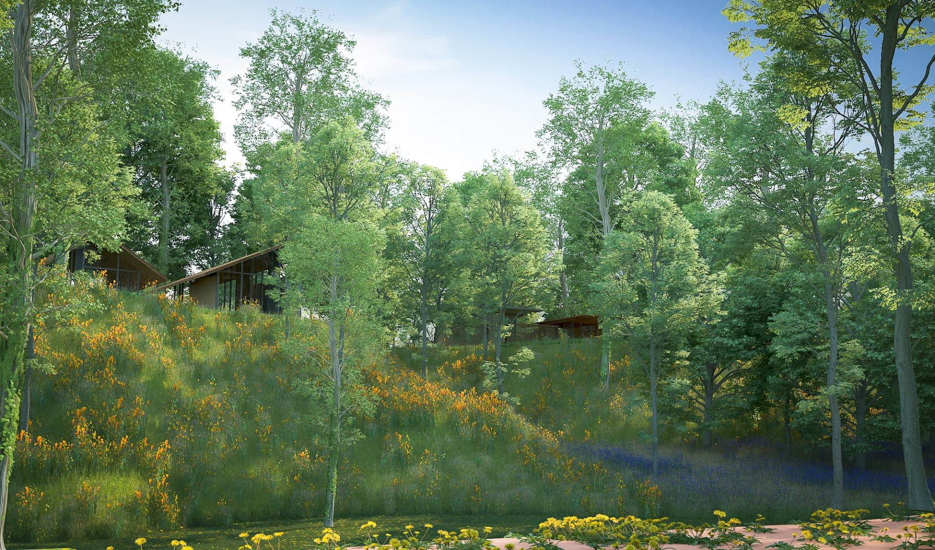 Wellness & Recreation: Yoga Deck