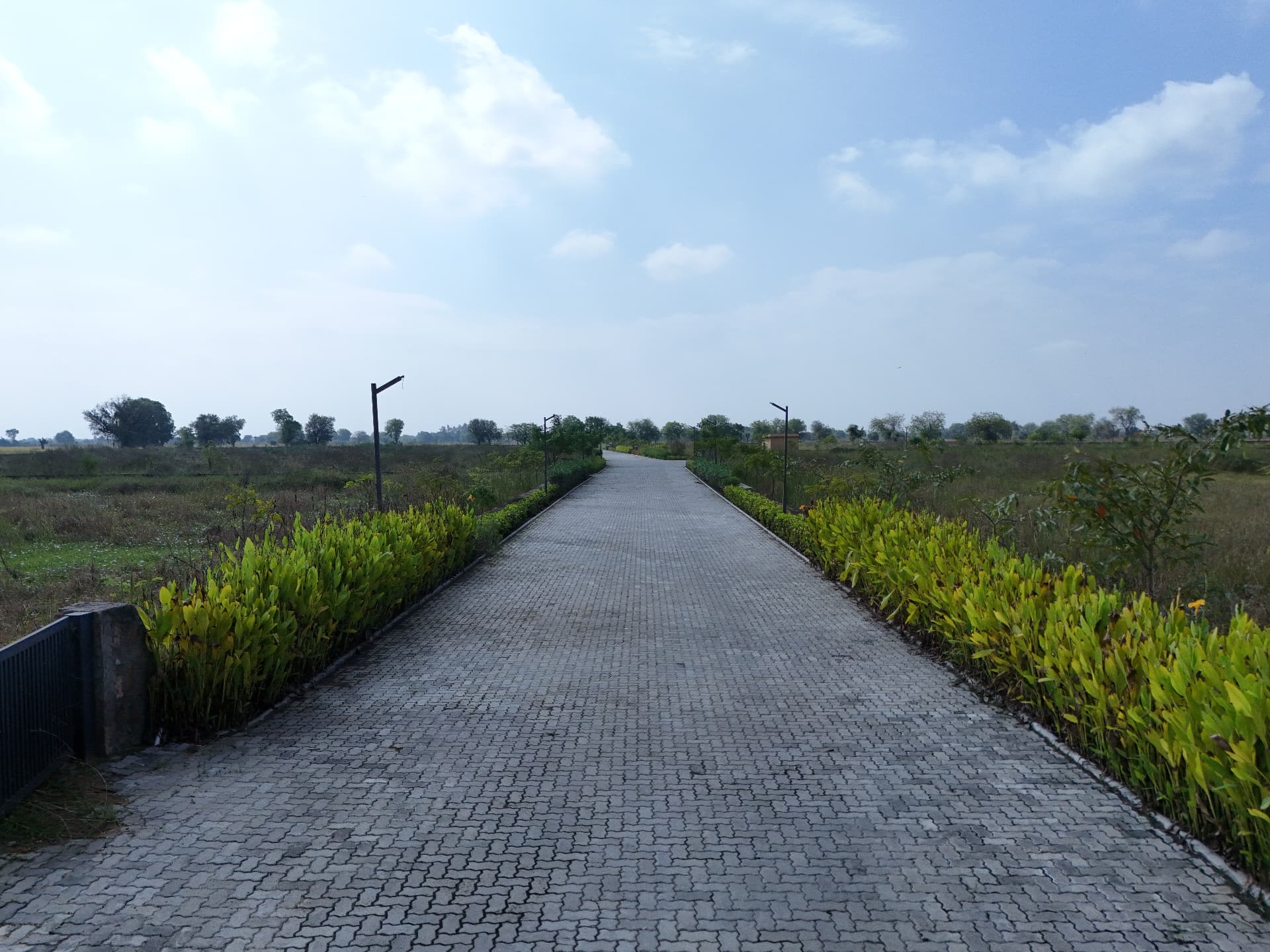 The paved internal road lined with planting at Raambaug